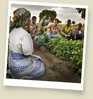 Agriculture in Senagal in Ukraine