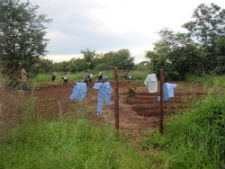 Peace Corps volunteer Christina Alexander of Cheyenne, Wyo., recently started a childrens garden project with her local community in northern Botswana.