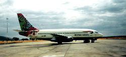 Artwork by the local center artists on the tail of a British Airways plane.