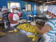 Fruticoop, Inc. workers cut pineapple