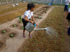 A Cambodian student waters the school garden