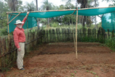Bottcher, 68, with a sun shade in a garden in Paraguay
