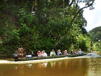 The Embera bring a group of tourists up the Chagres River to their village in a dug-out canoe.