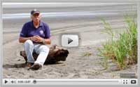 Peace Corps Response Volunteer in Panama Works on Projects for the UN Development Program Video