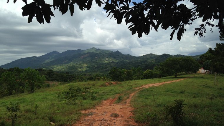 Lucia's backyard in the DR