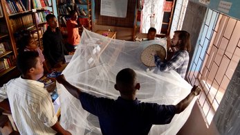Stomping Out Malaria