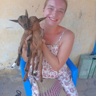 Two baby goats born in Mackenzie’s host family compound in Senegal.