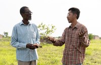 Peace Corps Volunteer in Togo engages principal on school farm