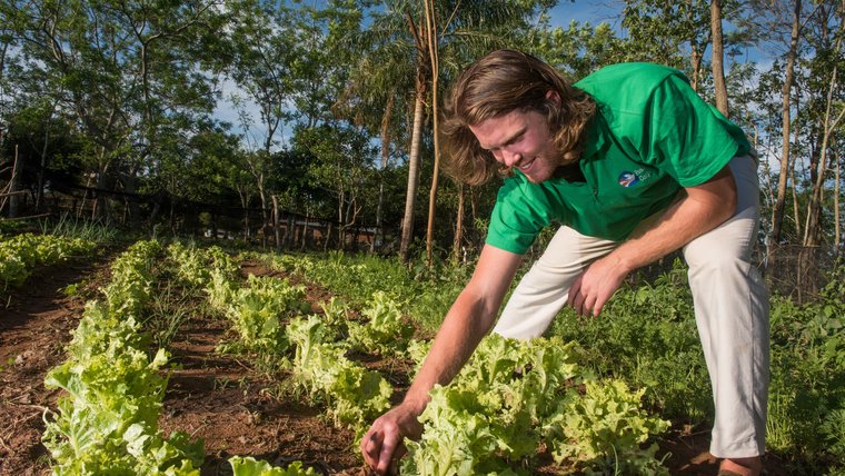 Here's what you need to know about Peace Corps sectors