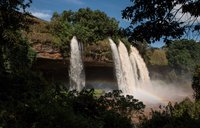 A rainbow shines across a waterfall, surrounded by green trees.