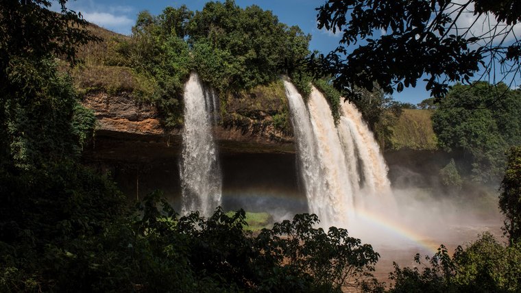 A rainbow shines across a waterfall, surrounded by green trees.