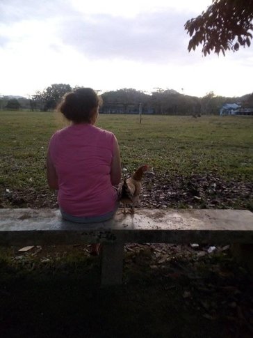 Volunteer with chicken