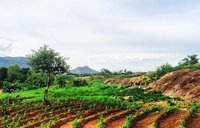 Southern Malawi Village
