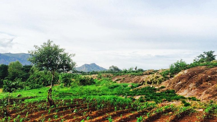 Southern Malawi Village