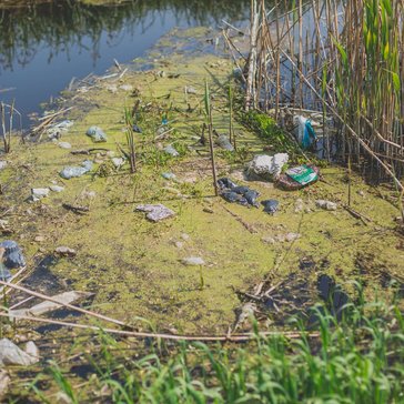 Lakes and rivers are too polluted to swim in