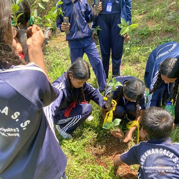 Students plant fruit trees on school grounds in Nepal.