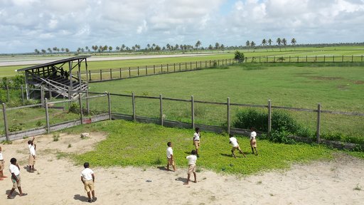 The school is bordered by seemingly endless rice fields.