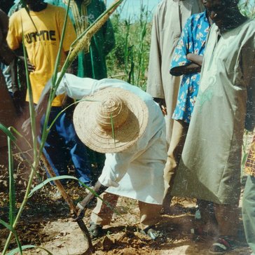 Peace Corps Niger reflection