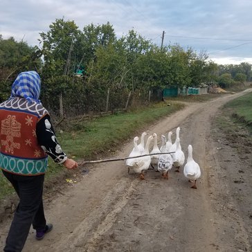 Animals in Moldova