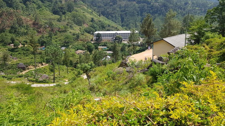 Village Scene