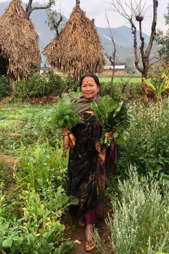 February 2020, Huma Magar harvests carrots from her vegetable garden