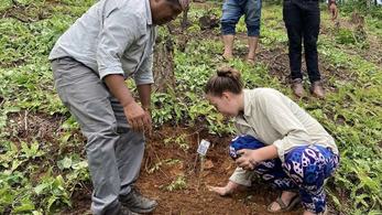 Forestry in Nepal