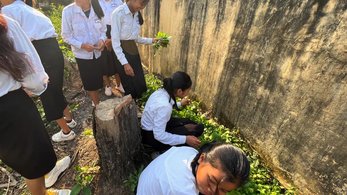 Students working in a garden in Cambodia