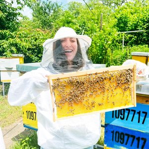 Volunteer working with bees