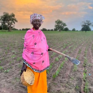 Volunteers support communities to plant groundnuts during rainy season in The Gambia.