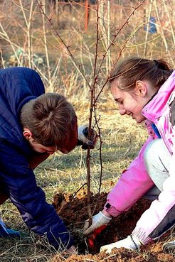 Students plant a tree during a retreat at Eco-Village in Criuleni district