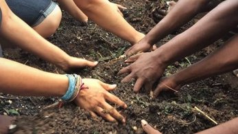 Volunteer Hands Digging in The Gambia