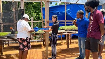 Peace Corps Jamaica Volunteer Larissa and a group of local farmers recently hosted the grand opening of their brand-new seedling nursery. Members of the community came together to celebrate this accomplishment.