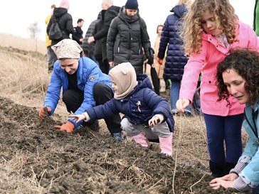 President of Moldova is planting Peace Corps Moldova community forest together with others.