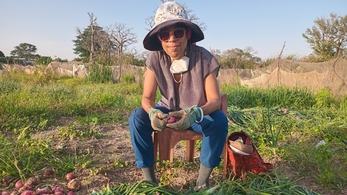 As a Sustainable Agriculture Agent, you will promote positive youth development and women’s economic stability.