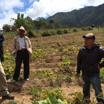 Supporting Climate-Smart Agriculture in Guatemala