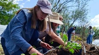 Agriculture Volunteer in Mexico