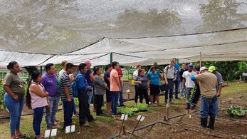 agriculture volunteers