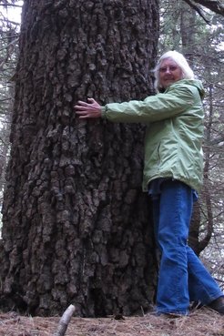 Mary hugs a rare fir tree in Mexico.