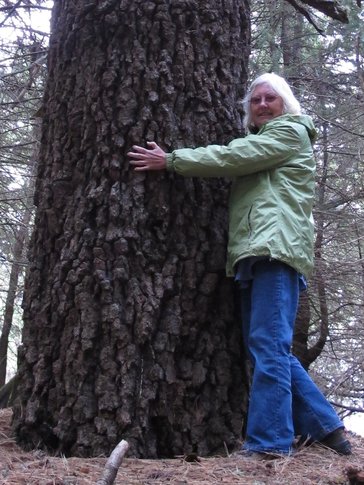 Mary hugs a rare fir tree in Mexico.