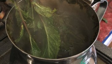 Add a handful of fresh naânâ
