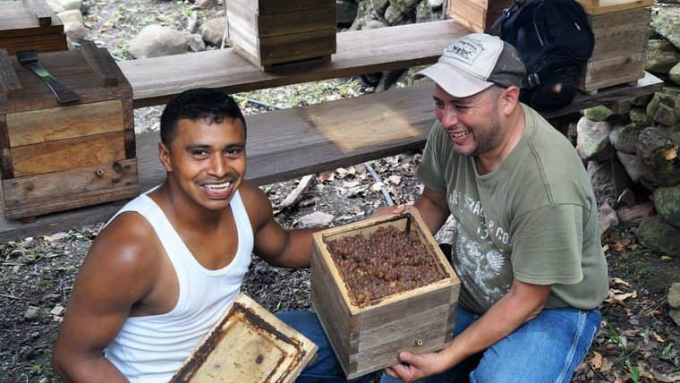 Two men remove the cover of a bee hive.
