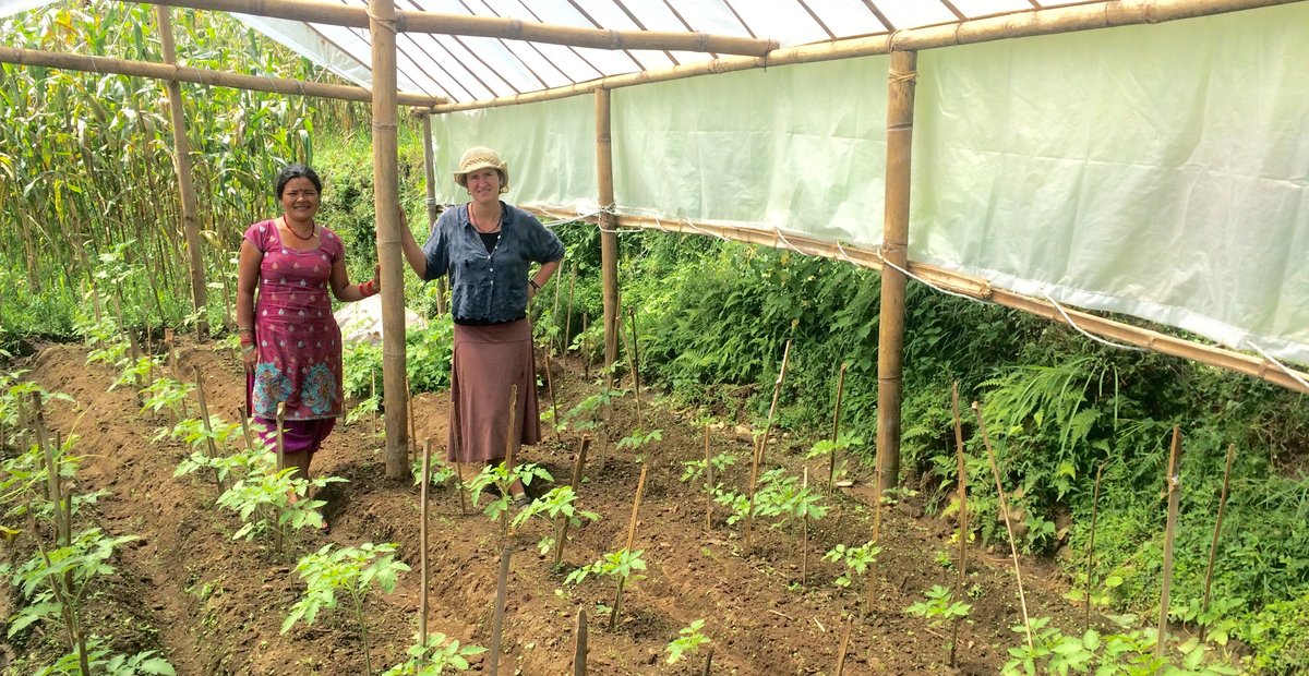 Planting the seeds of a sustainable nursery