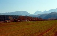 An aged, scenic photo of farmland with distant mountains