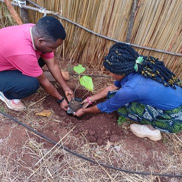 Anissa Fruit tree planting