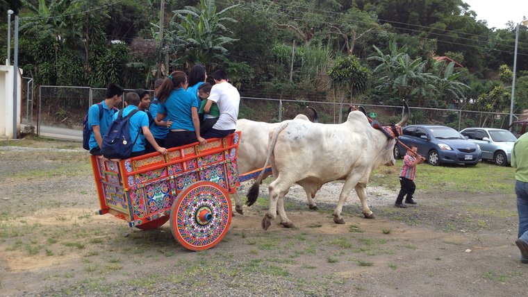 Celebrating rural tourism with a ride on the traditional Costa Rican oxcart.