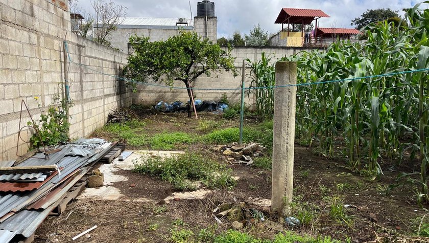 Image of the garden.