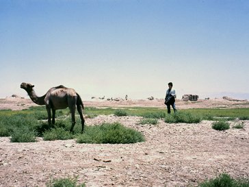 Adrian Panaro, right, in Balkh.