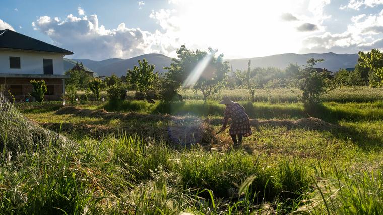 A community member stacks hay during the spring harvest in Albania.