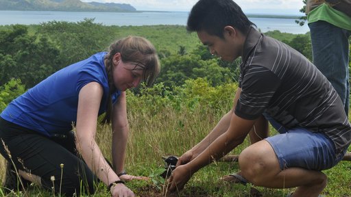 Tree planting with youth in the Philippines