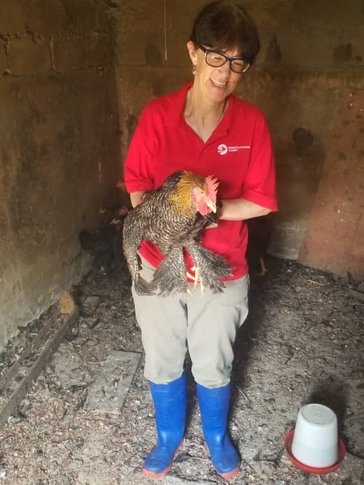 Cathy helps care for chickens during her service in Cameroon.